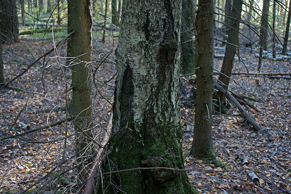  (198)