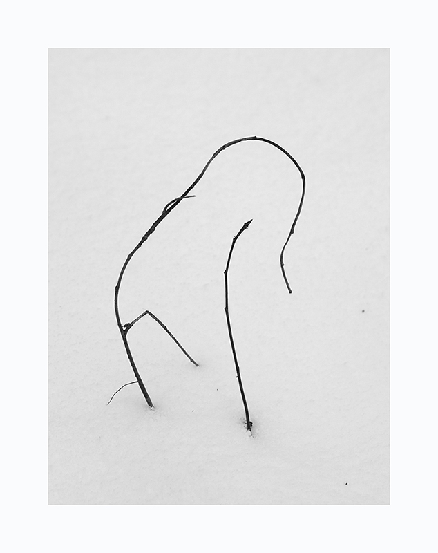  ***