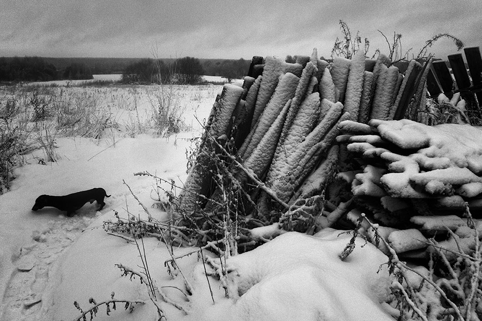  150104-P1070323