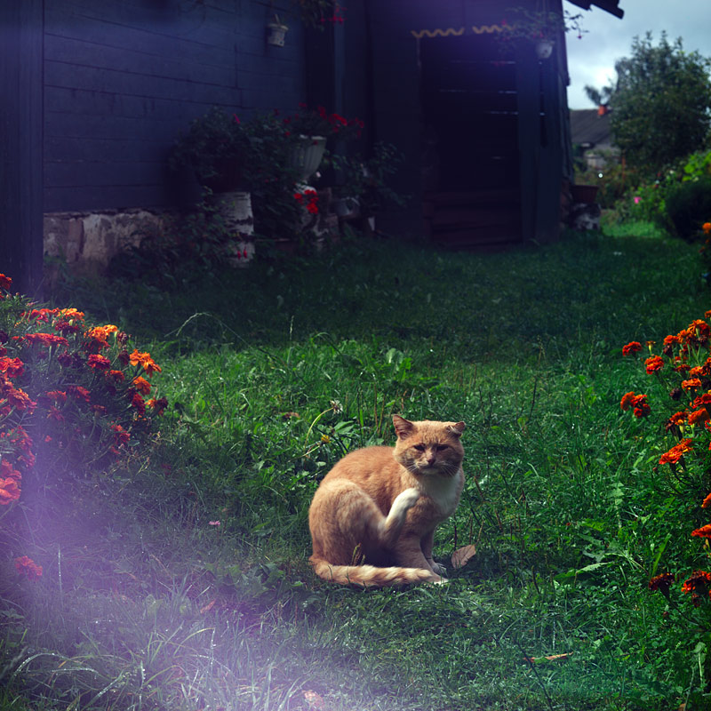  140830-33VV6375