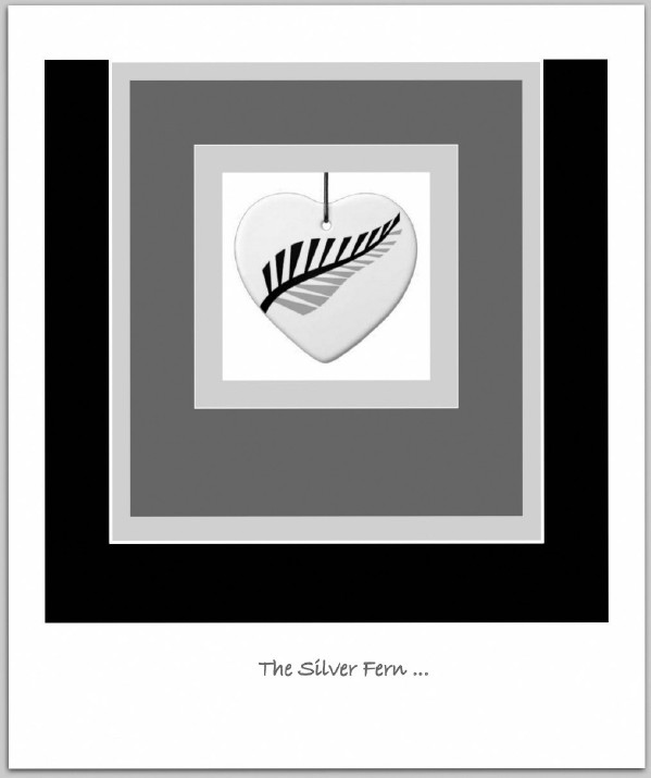  The Silver Fern ...