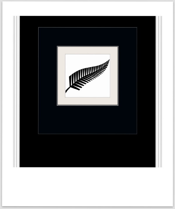  The Silver Fern ...