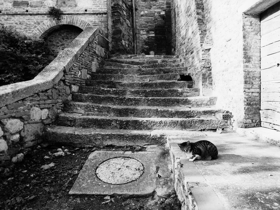 832-H2-1311104-Tmax400-008