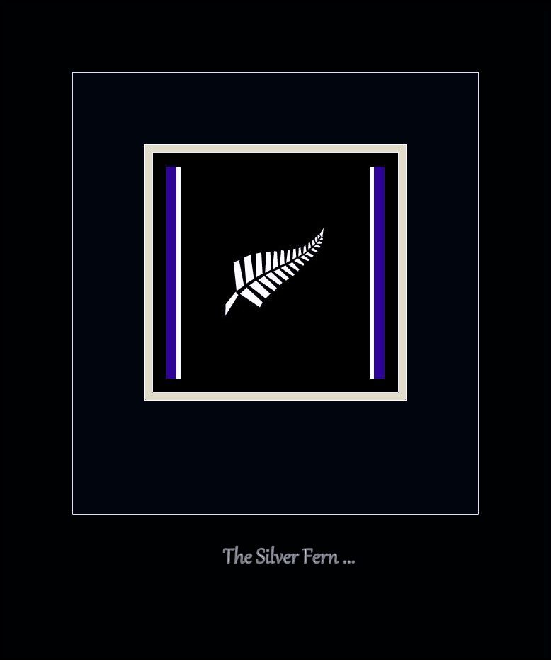  The Silver Fern ...