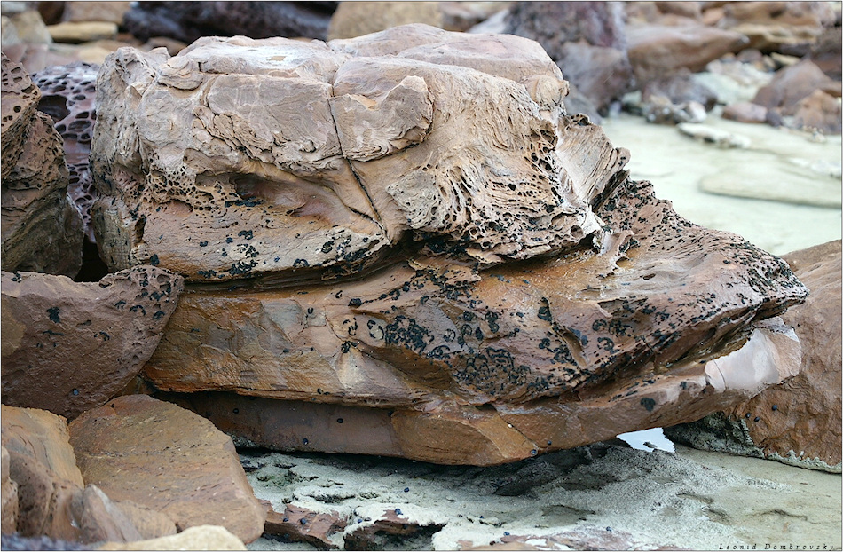    Stokes Bay - 2