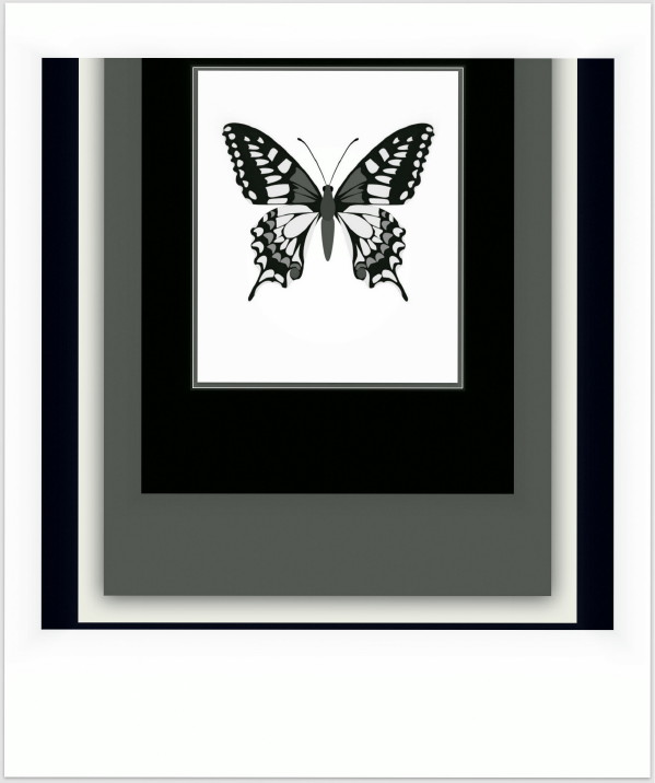  The Enigma Butterfly ...