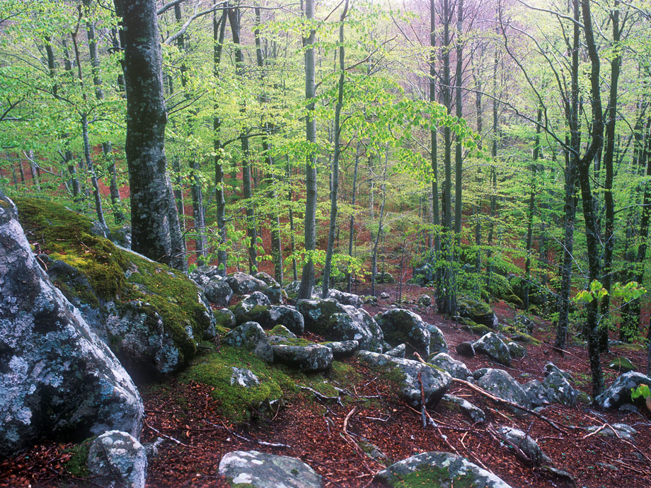 902-C-140426-Velvia50-008