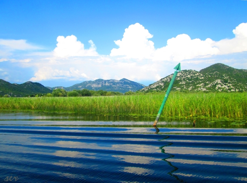  Skadar