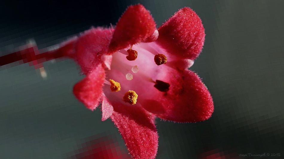    02