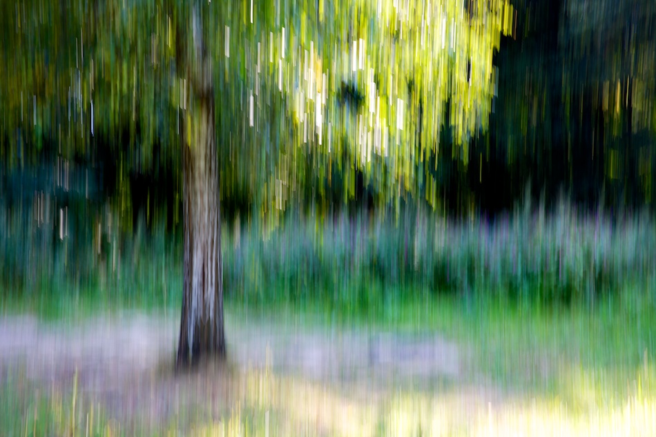   (2)