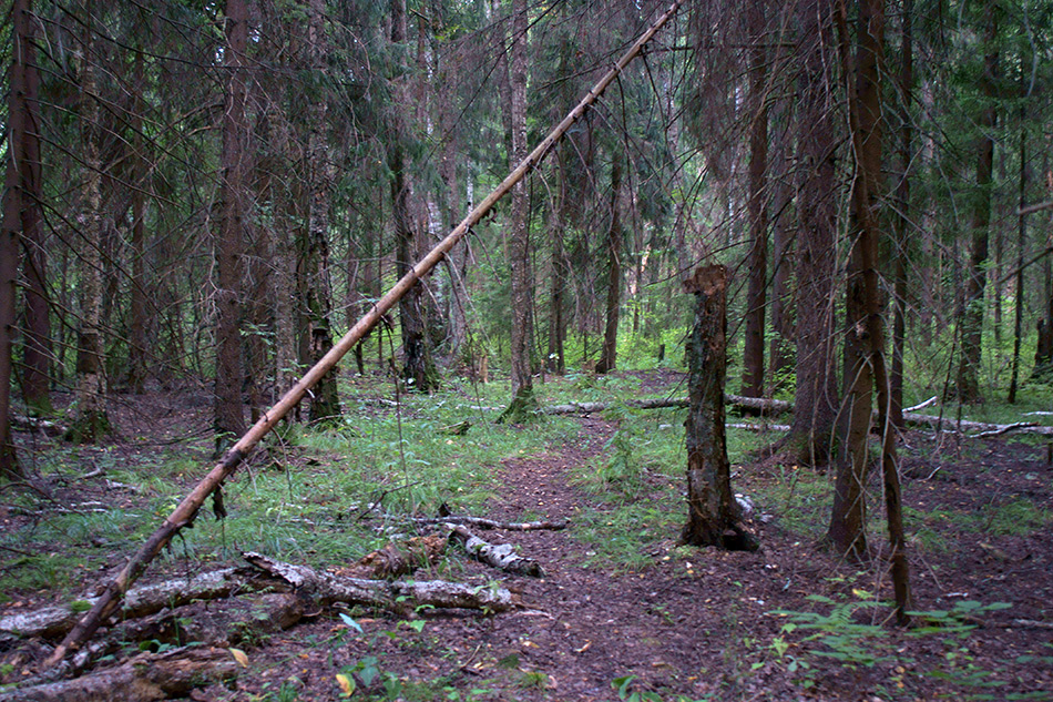    (2)