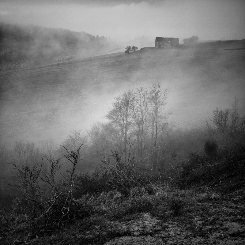  130328-CF003147-bw