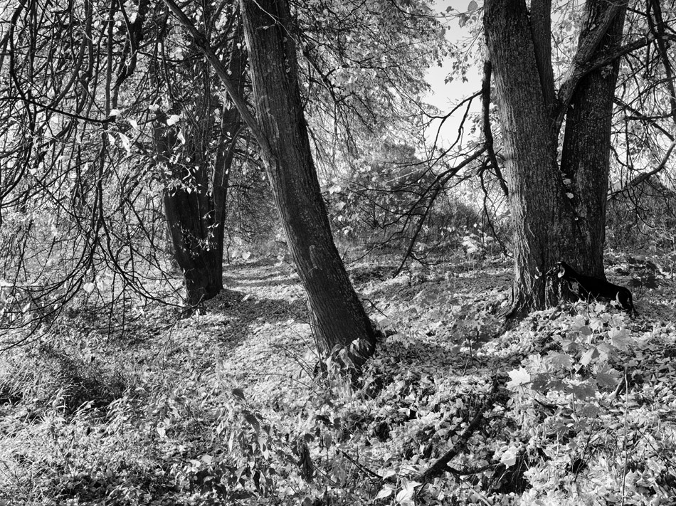  150926- 6457172-bw