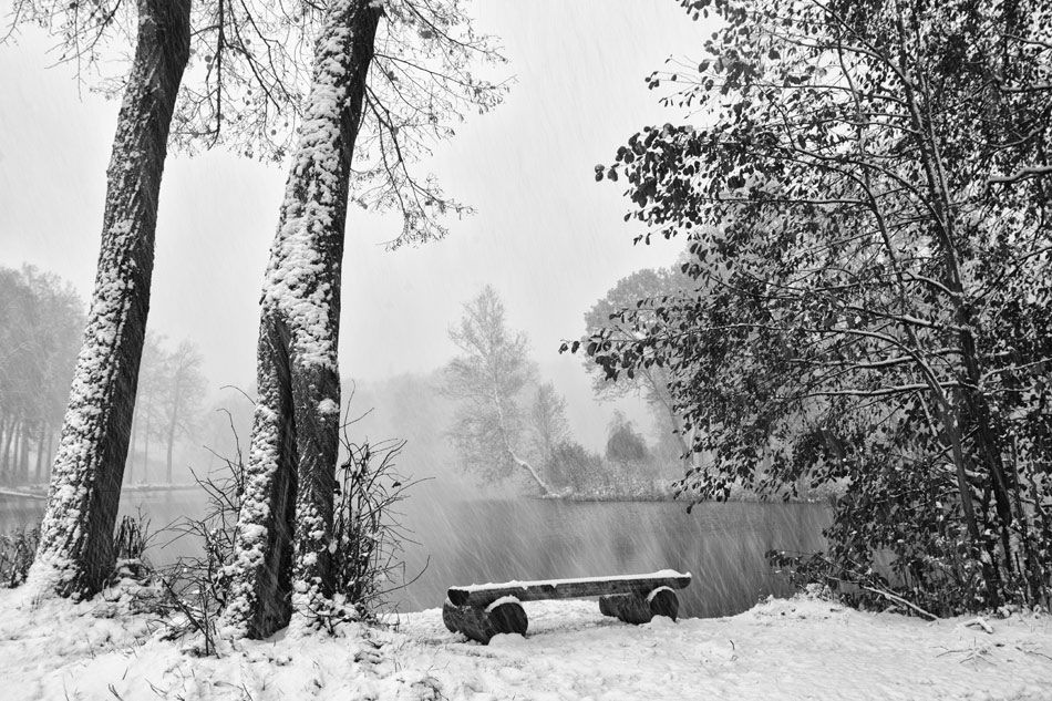  151009- 6458101-bw