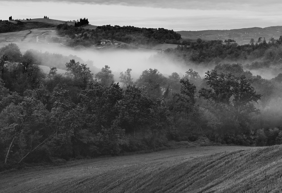  140429- 6454528-31P-bw
