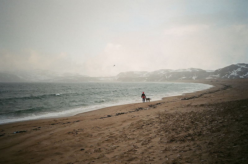  Friends by the sea.