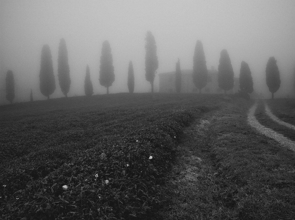  140428- 6454435-bw
