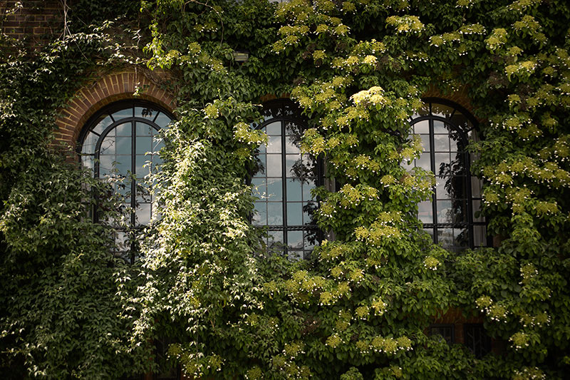  UK2015 #38