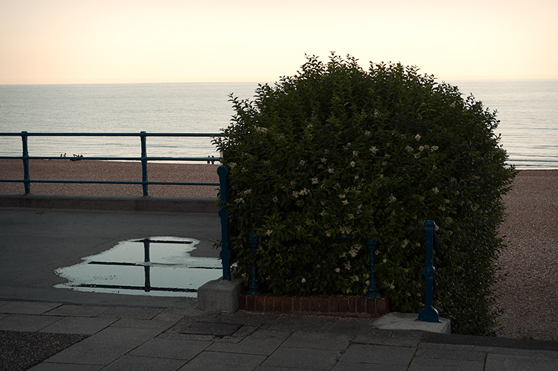  UK2015 #39