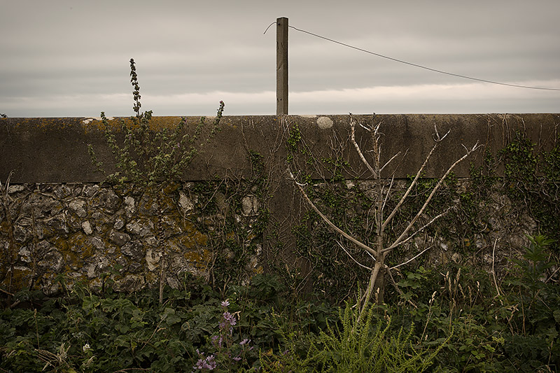  UK2015 #46