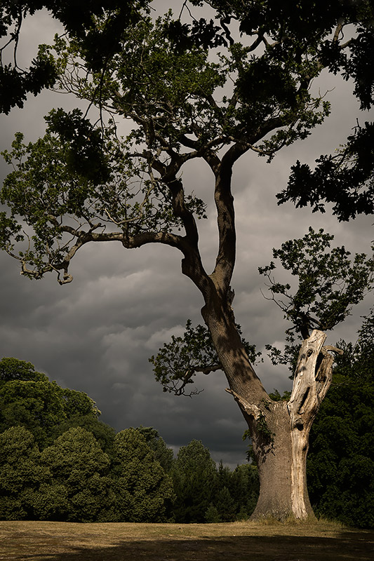  UK2015 #47