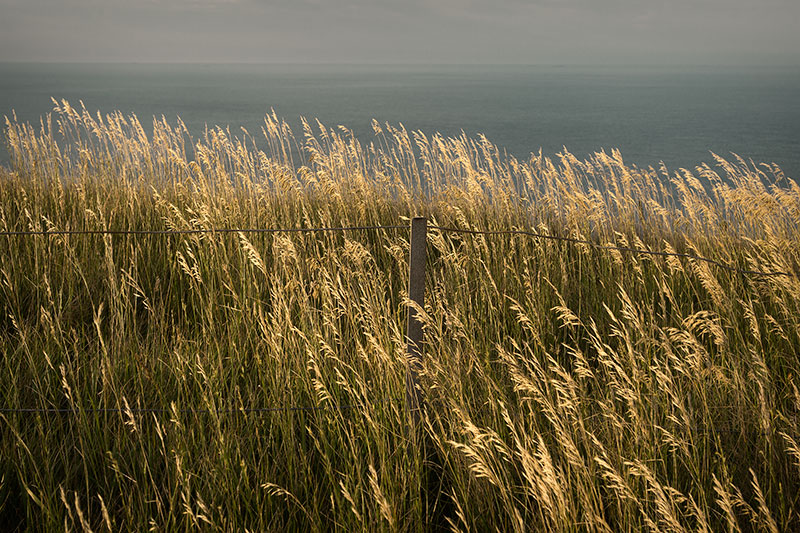  UK2015 #50