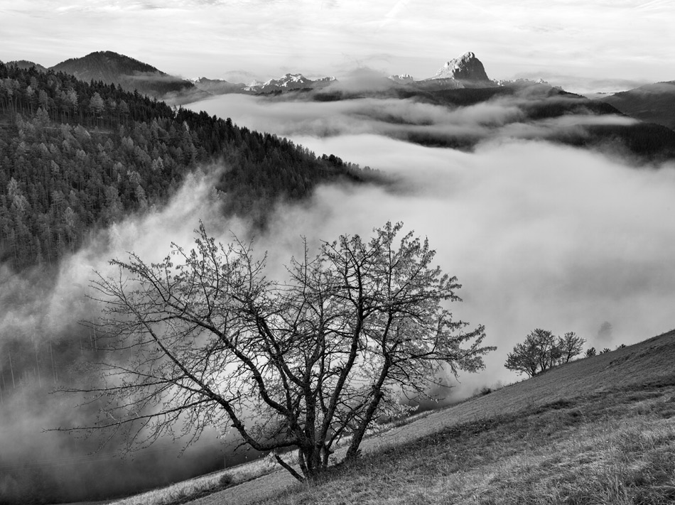  141016- 6457006-bw