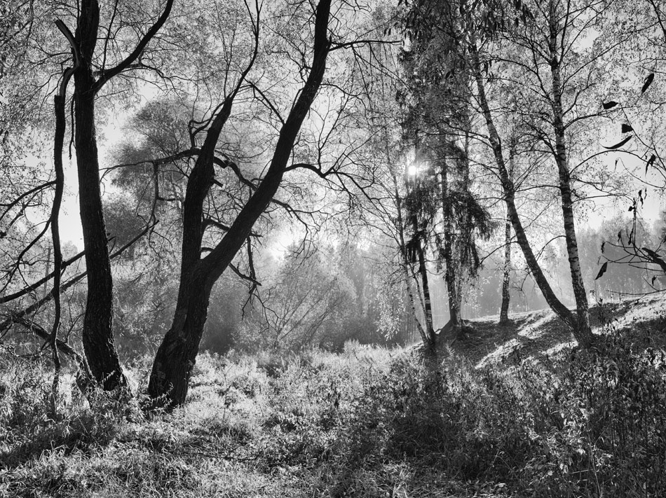  151016- 6458644-bw