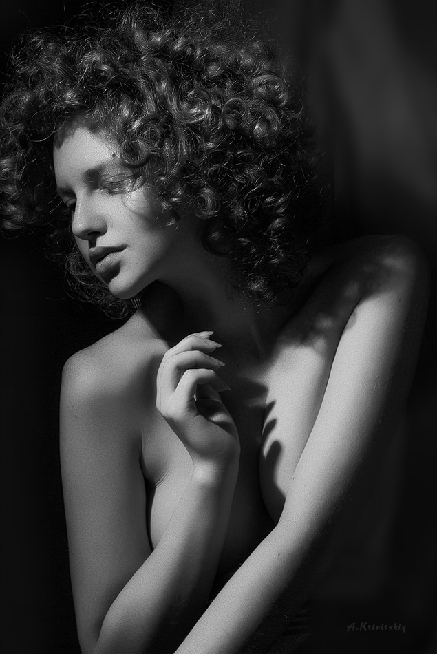  The graceful harmony of the portrai
