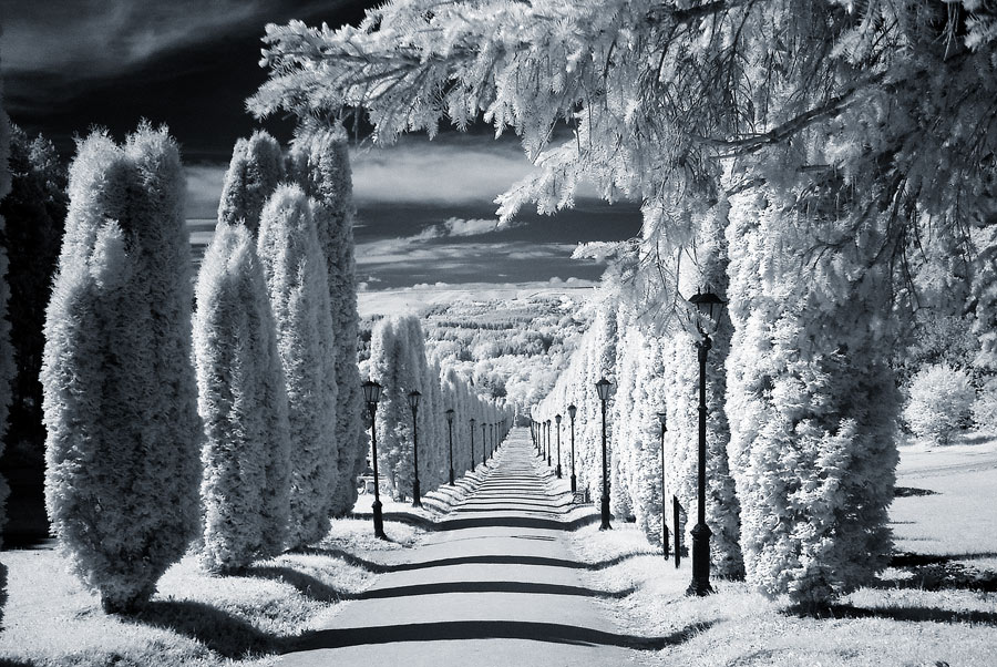  Another world