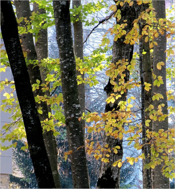  The Colors Of October ...