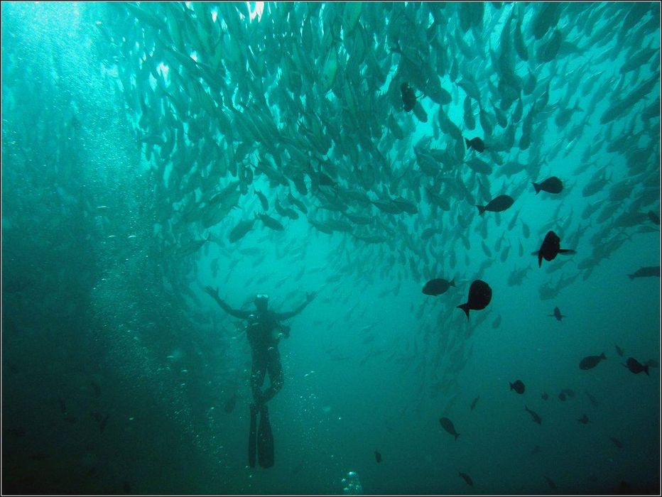  Sipadan. Malaysia.