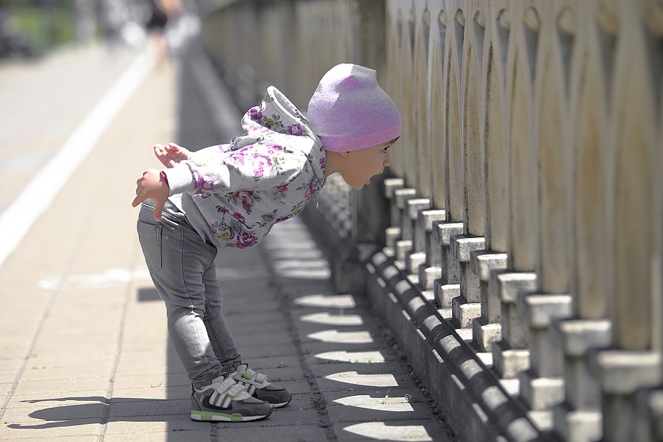  curiosity