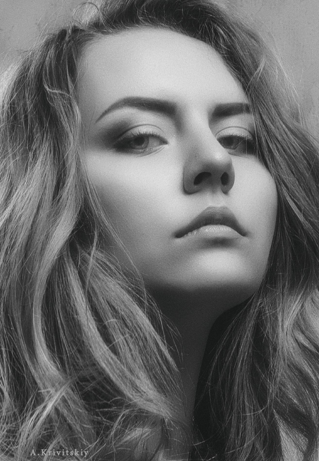  Portrait. "Introduction to the phot