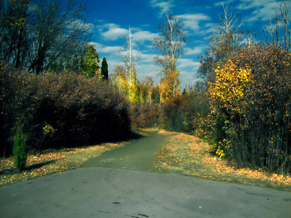  Autumn sunny day in Victory Park