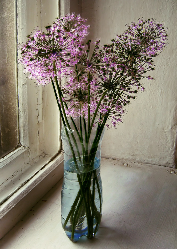  Flowers in a plastic bottle