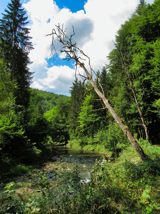  Die kleine Raabklamm