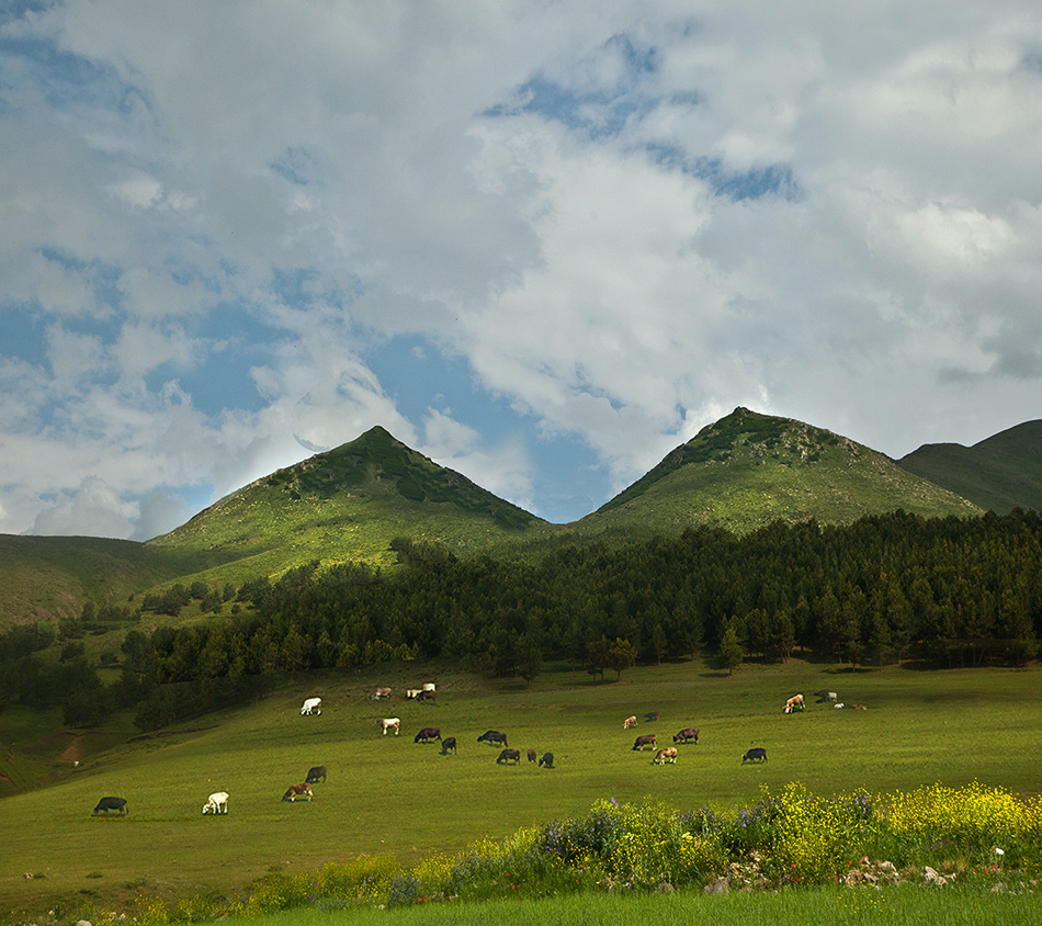   (Armenia)