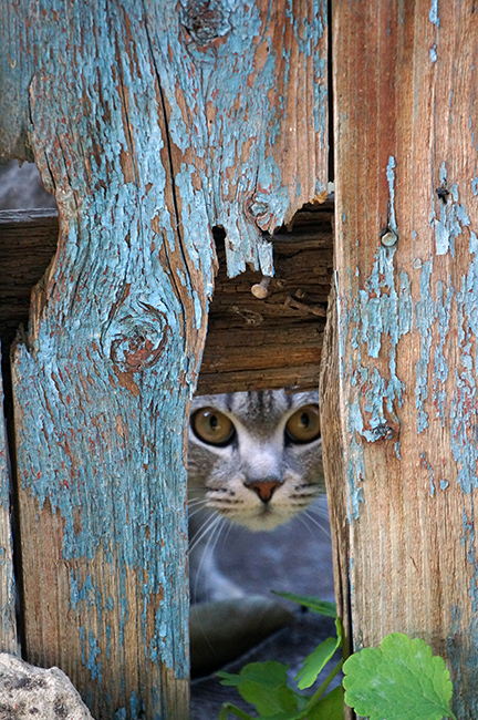   ?