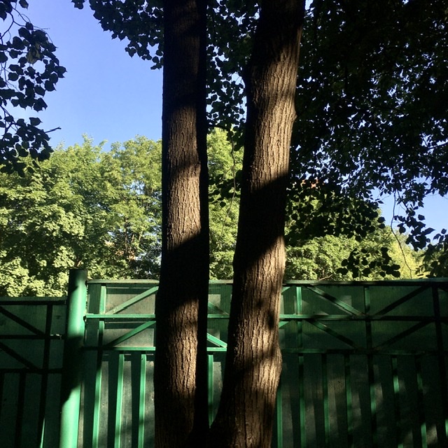  ***