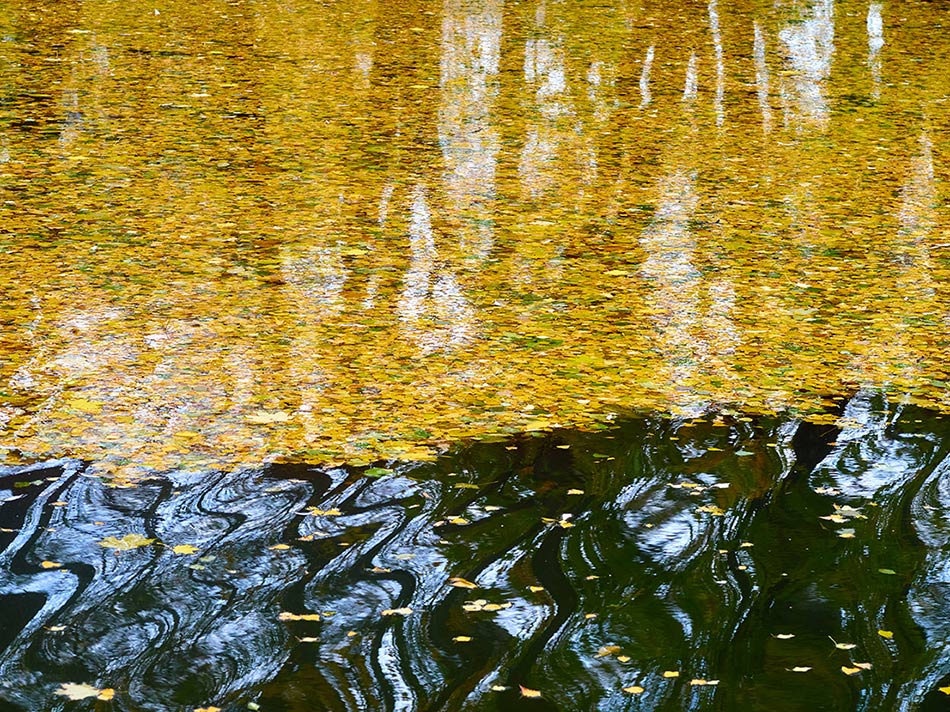 фотография Осень в воде