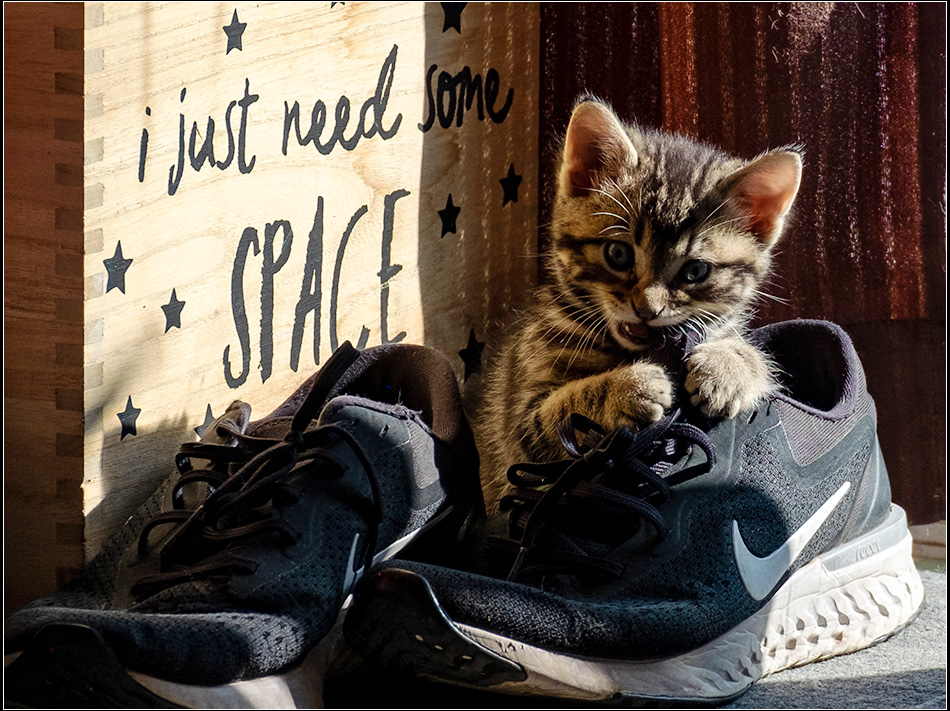  I just need some space