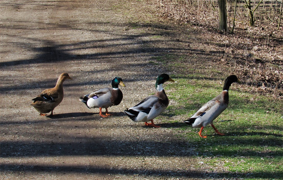  Abbey Road