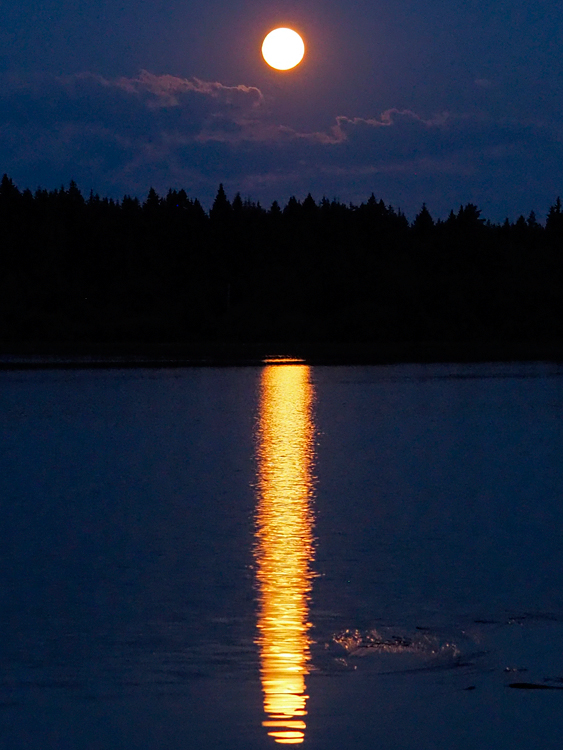  Moon light