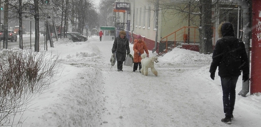  -2.