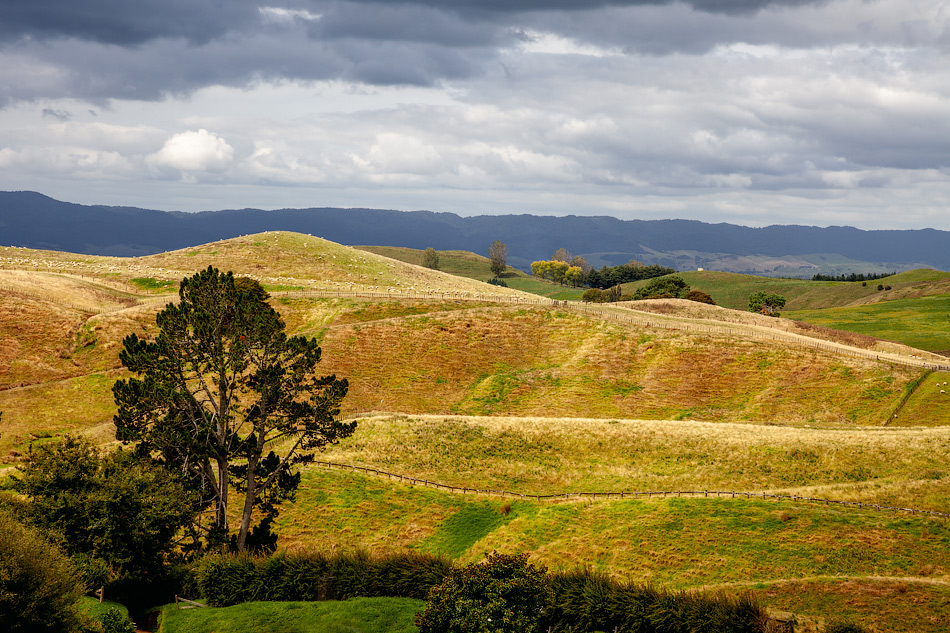  =NZ=