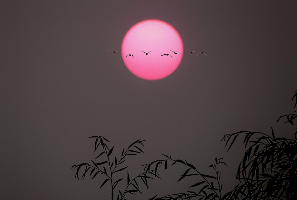  10072010.