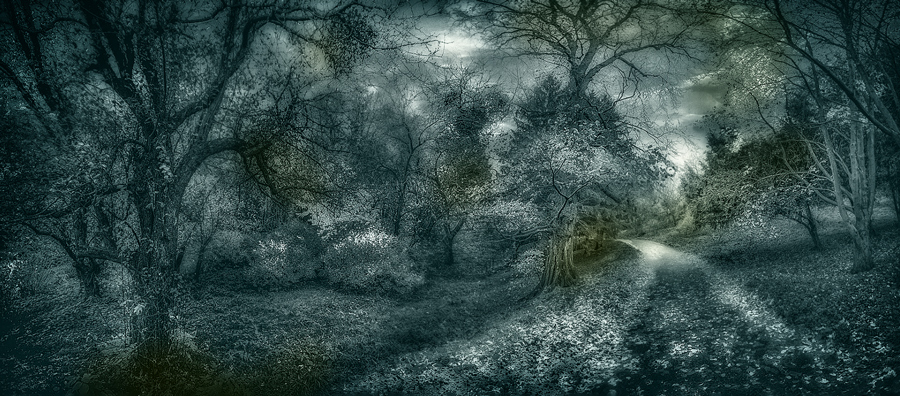  A magical land