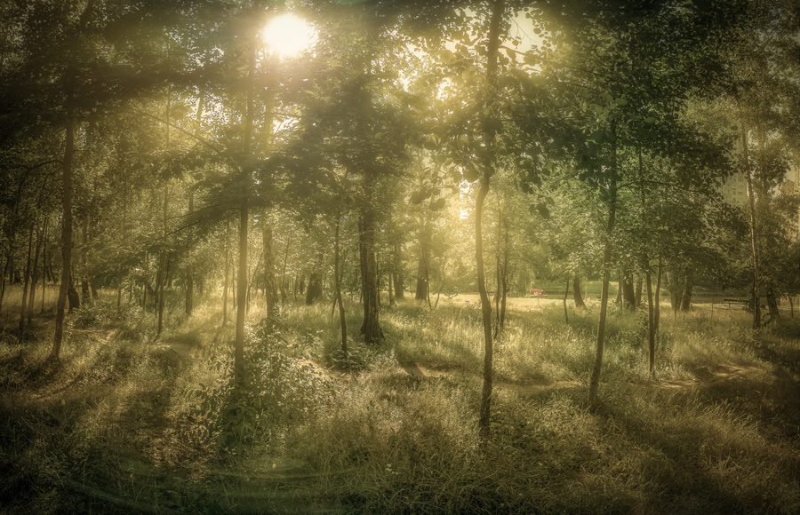  the park is nearby