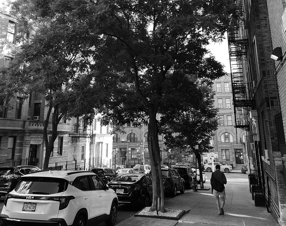  NYC
